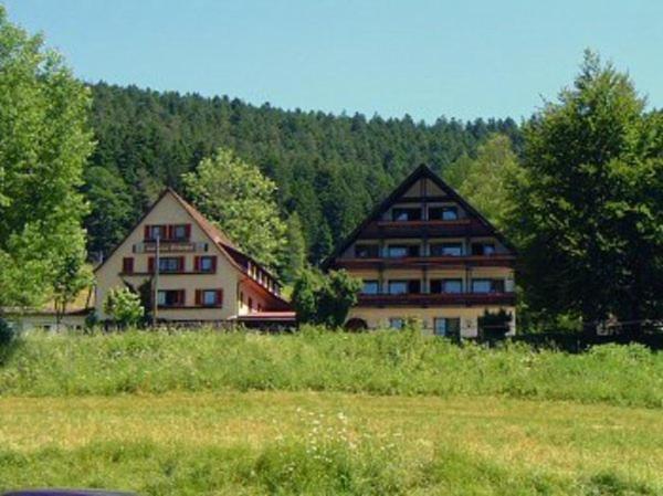 Gasthof Erlenhof Alpirsbach Dış mekan fotoğraf
