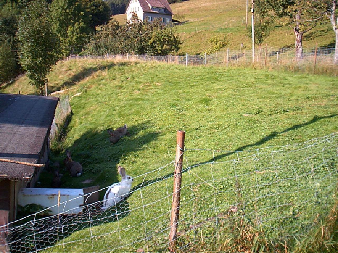 Gasthof Erlenhof Alpirsbach Dış mekan fotoğraf