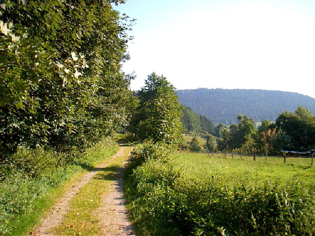 Gasthof Erlenhof Alpirsbach Dış mekan fotoğraf
